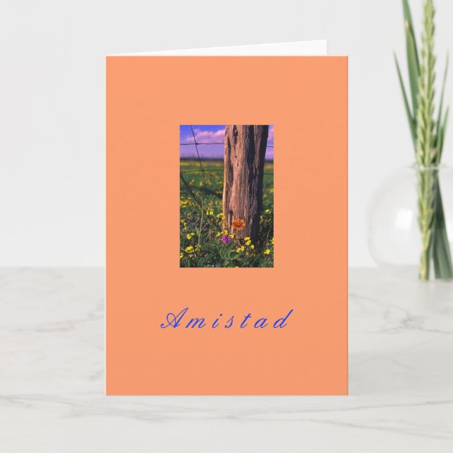 Cartes Pour Fêtes Annuelles "Amistad" (Devant)