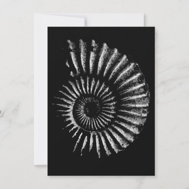 Cartes Pour Fêtes Annuelles Ammonite blanche sur noir (Devant)