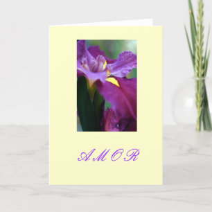 Cartes Pour Fêtes Annuelles "Amor "