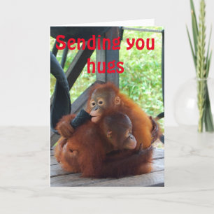 Cartes Pour Fêtes Annuelles Amour d'animal d'orang-outan d'étreinte de