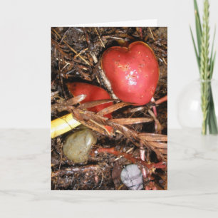 Cartes Pour Fêtes Annuelles Amour de champignon aussi