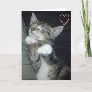 Cartes Pour Fêtes Annuelles Amour de chaton