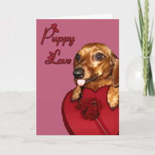 Cartes Pour Fêtes Annuelles Amour de chiot Valentine