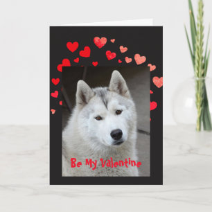Cartes Pour Fêtes Annuelles Amour de la cause I Woof vous chien enroué