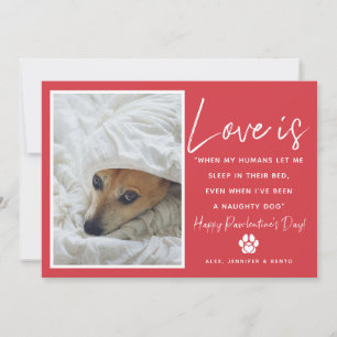 Cartes Pour Fêtes Annuelles Amour drôle est l'animal de la Saint-Valentin