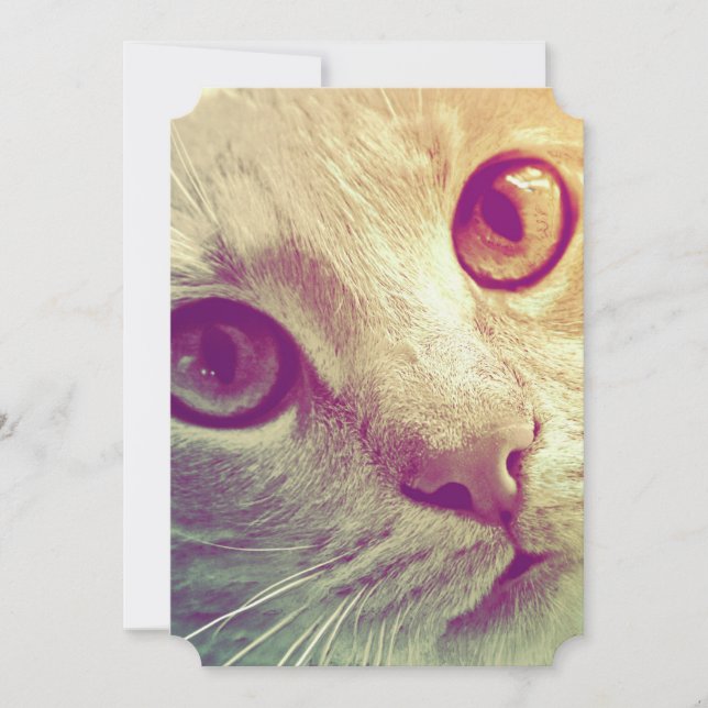 Cartes Pour Fêtes Annuelles Amour et Dévotion (Devant)