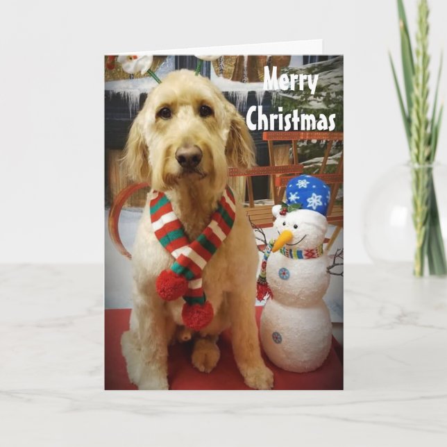 CARTES POUR FÊTES ANNUELLES AMOUR PUPPY NAUGHTY OU NICE À NOËL (Devant)