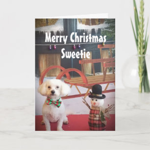 CARTES POUR FÊTES ANNUELLES AMOUR PUPPY NAUGHTY OU NICE À NOËL