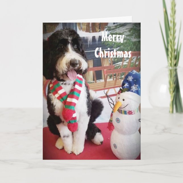 CARTES POUR FÊTES ANNUELLES AMOUR PUPPY NAUGHTY OU NICE À NOËL (Devant)