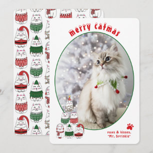 Cartes Pour Fêtes Annuelles Amoureux des chats Photo de chat festif mignon Noë