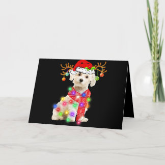 Cartes Pour Fêtes Annuelles Amoureux des chiens | Chapeau de Noël maltais Lumi