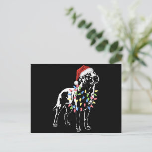Cartes Pour Fêtes Annuelles Amoureux des chiens de Noël père Noël Labrador Ret