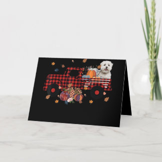 Cartes Pour Fêtes Annuelles Amoureux des chiens| Thanksgiving, camion Citrouil