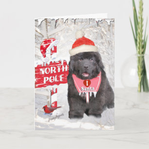 Cartes Pour Fêtes Annuelles Amours de chiot de Terre-Neuve Père Noël