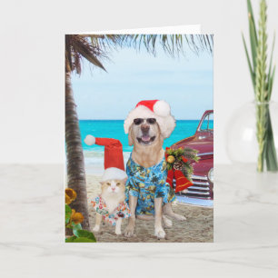 Cartes Pour Fêtes Annuelles Amusant Animaux de compagnie Hawaiian/Surfer Noël