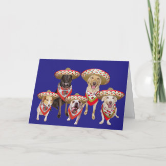 Cartes Pour Fêtes Annuelles Amusant Anniversaire Espagnol du Groupe