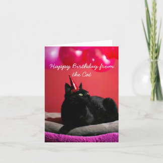 Cartes Pour Fêtes Annuelles Amusant Joyeux Anniversaire du chat