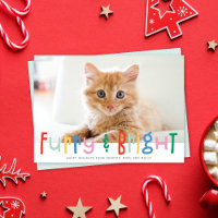 Amusante Mignonne Furie & Bright Chien Chat Pet Ph