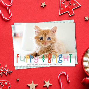 Cartes Pour Fêtes Annuelles Amusante Mignonne Furie & Bright Chien Chat Pet Ph