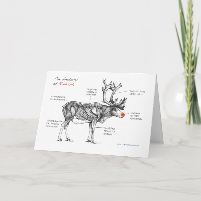 Cartes Pour Fêtes Annuelles Anatomie de (Devant)