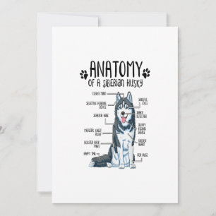 Cartes Pour Fêtes Annuelles Anatomie drôle Sibérie Husky Amoureux des chiens c