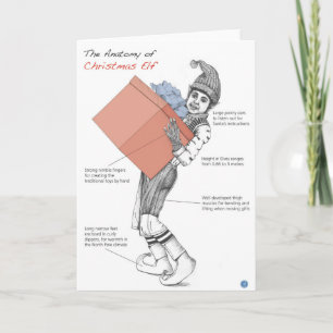 Cartes Pour Fêtes Annuelles Anatomie d'un elfe de Noël