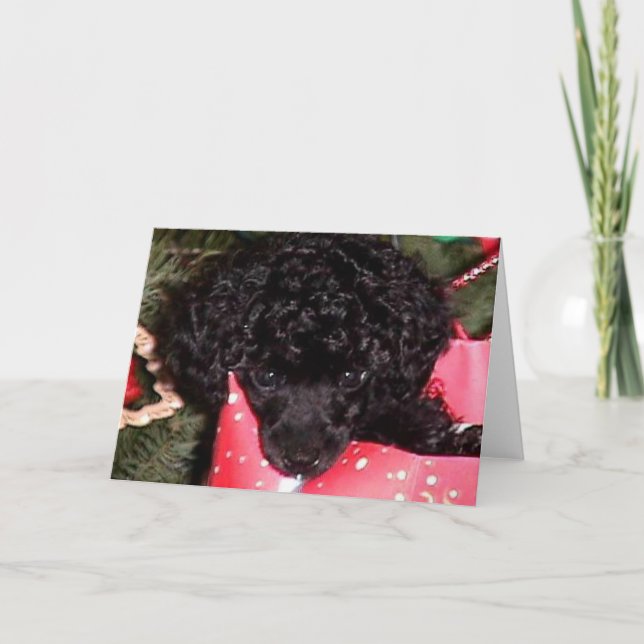 Cartes Pour Fêtes Annuelles Ange de Noël (Devant)