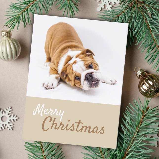 Cartes Pour Fêtes Annuelles Anglais Bulldog Puppy Photo Christmas Custom (Créateur téléchargé)