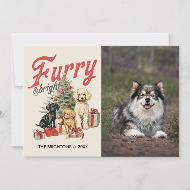 CARTES POUR FÊTES ANNUELLES ANIMAL DE FROID ET BRILLANT CHRISTMAS CHIEN (Devant)