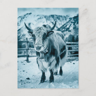 Cartes Pour Fêtes Annuelles Animal yack tendance moderne