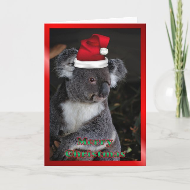 Cartes Pour Fêtes Annuelles Animaux AUSTRALIENS de Noël de Noël de koala de (Devant)