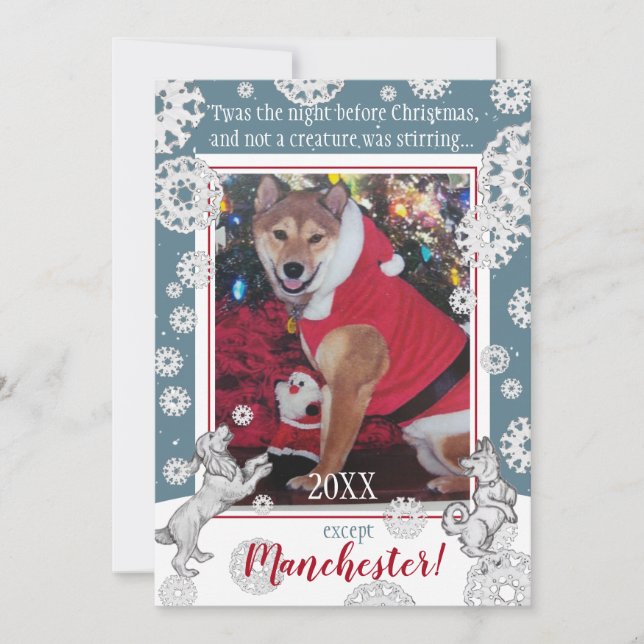 Cartes Pour Fêtes Annuelles Animaux de compagnie Chien Flocon de neige Funky A (Devant)