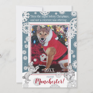 Cartes Pour Fêtes Annuelles Animaux de compagnie Chien Flocon de neige Funky A
