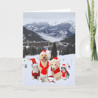 Cartes Pour Fêtes Annuelles Animaux de compagnie Funny personnalisables dans l