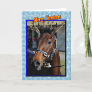 Cartes Pour Fêtes Annuelles Animaux de Noël de cheval de Noël bonnes fêtes
