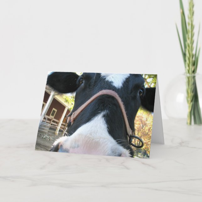 Cartes Pour Fêtes Annuelles Année heureuse de MOO (Devant)