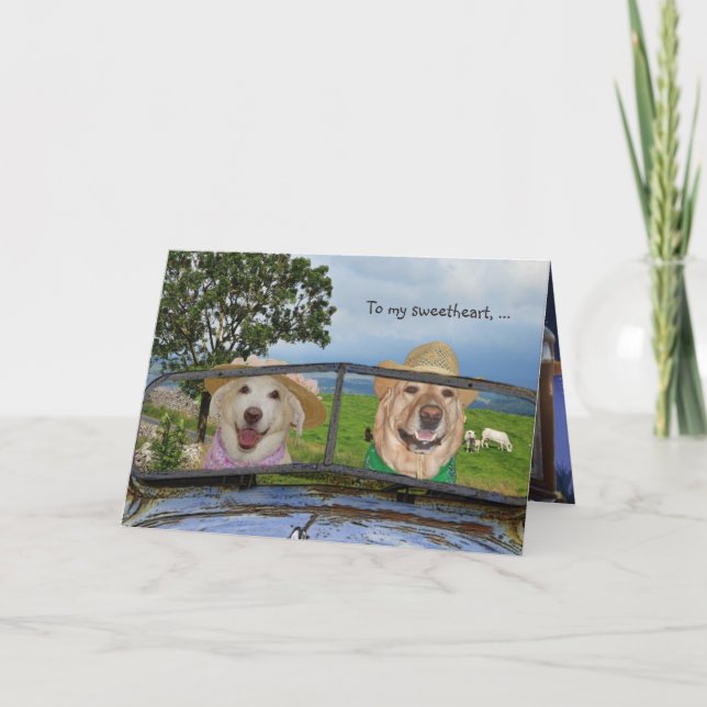 Cartes Pour Fêtes Annuelles Anniversaire des chiens drôles (Devant)