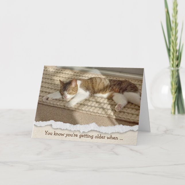 Cartes Pour Fêtes Annuelles Anniversaire Napping de chats au soleil (Devant)