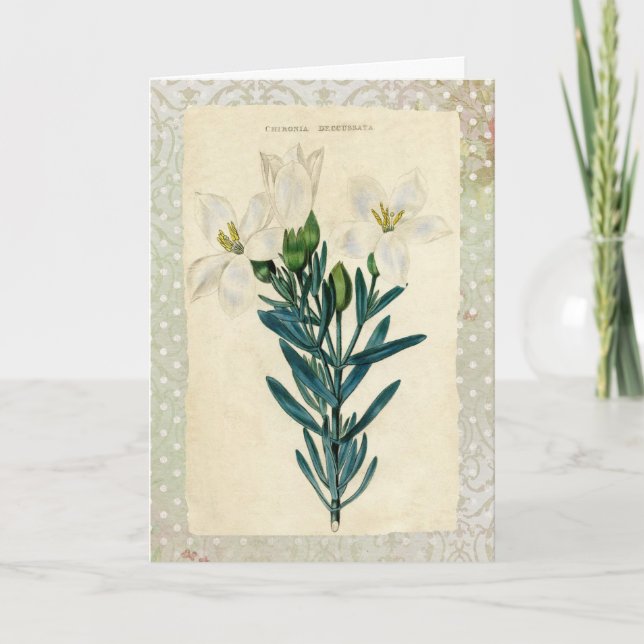 Cartes Pour Fêtes Annuelles Antique Pâques Lily (Devant)