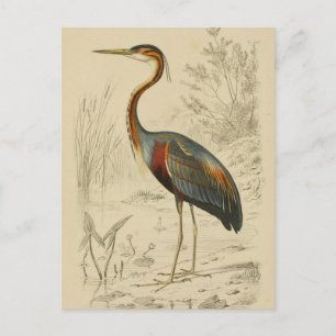 Cartes Pour Fêtes Annuelles Antique Purple Heron Travers Edouard Imprimer