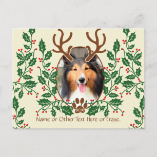 Cartes Pour Fêtes Annuelles Antlers de Noël pour chien / chat Personnaliser la