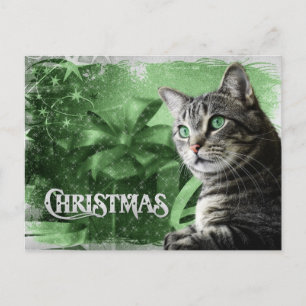 Cartes Pour Fêtes Annuelles APAL - Tabby en argent de Noël