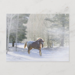 Cartes Pour Fêtes Annuelles Appaloosa Horse dans les Bonnes Fêtes de neige