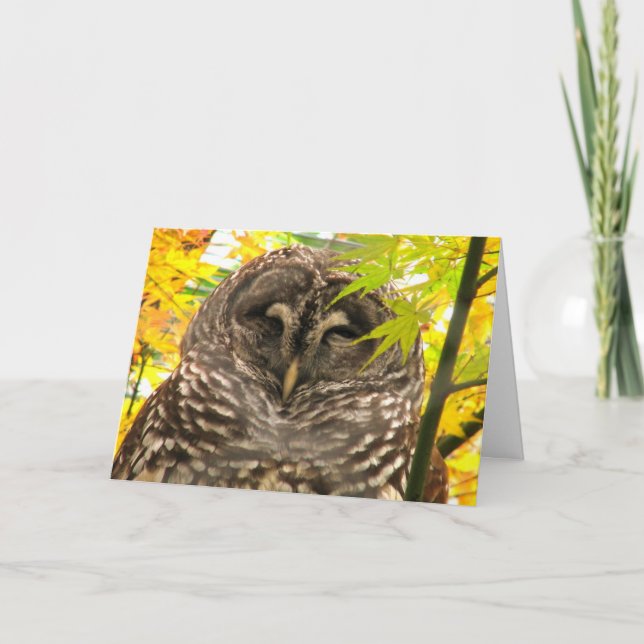 Cartes Pour Fêtes Annuelles Appy Owlidays (Devant)