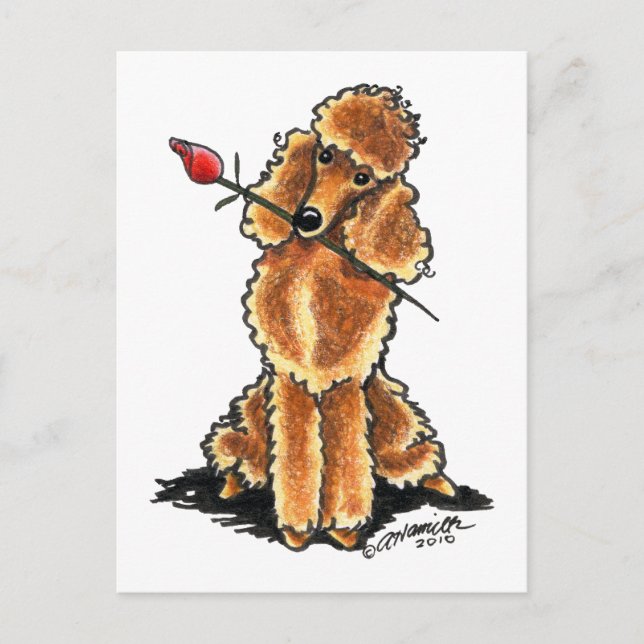 Cartes Pour Fêtes Annuelles Apricot Poodle Adulte Valentines (Devant)