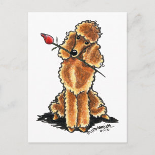 Cartes Pour Fêtes Annuelles Apricot Poodle Coeur Valentines