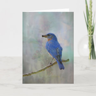 Cartes Pour Fêtes Annuelles Aquarelle Bluebird