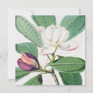 Cartes Pour Fêtes Annuelles Aquarelle Botanique Blanc Magnolia & Feuilles vert