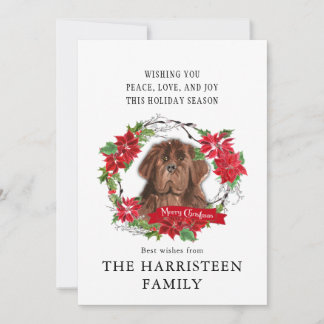 Cartes Pour Fêtes Annuelles Aquarelle brune de Terre-Neuve Poinsettia Noël
