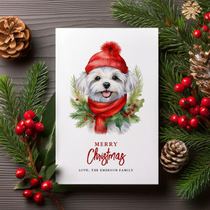Cartes Pour Fêtes Annuelles Aquarelle Chien maltais de Noël
